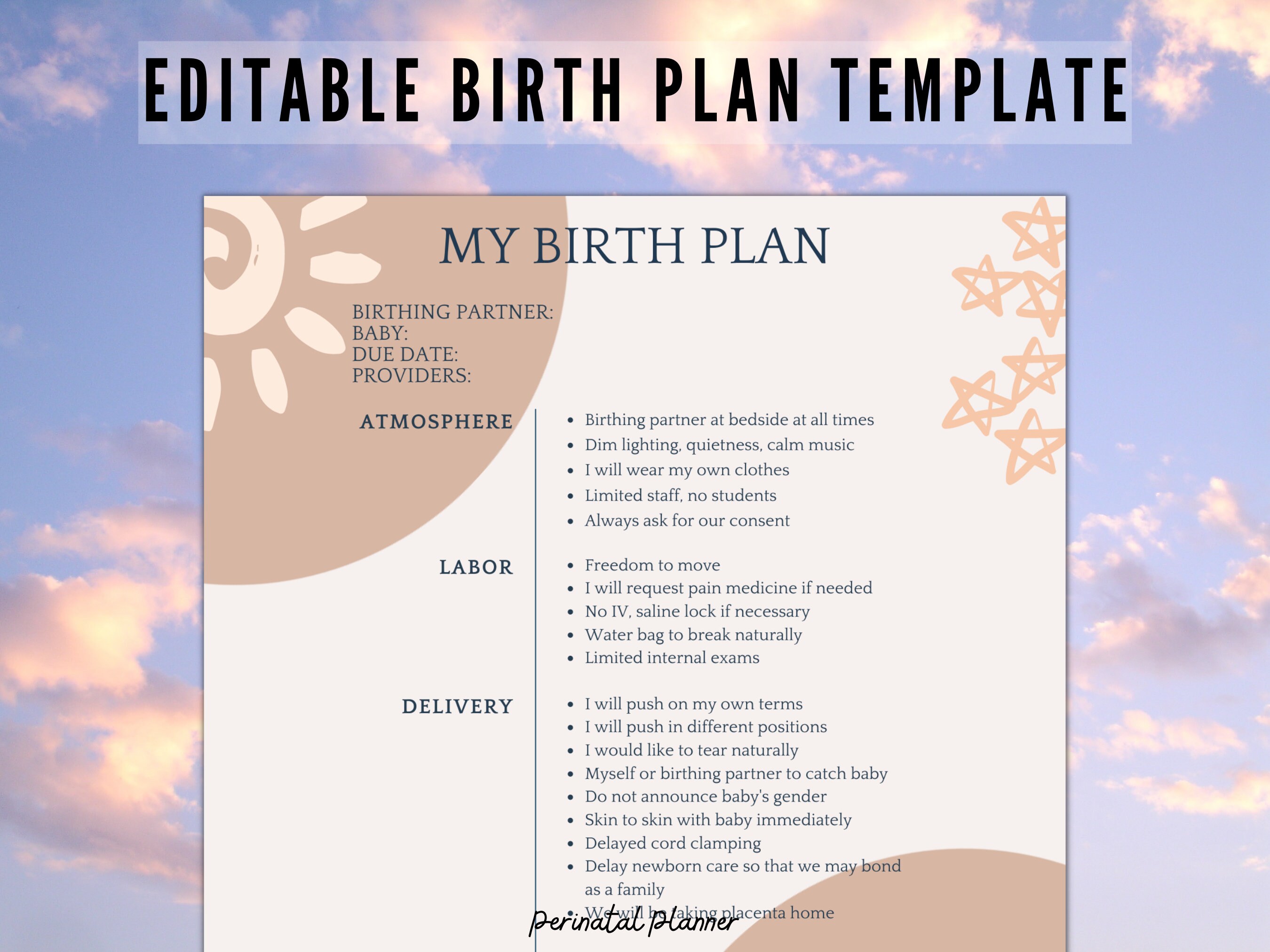 Editable Birth Plan Canva Template Inclusive Birth Plan - Etsy