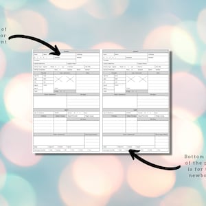 May include: A black and white printable chart for tracking patient and newborn information. The top half of the chart is for the patient and includes sections for delivery details, vital signs, and medication. The bottom half of the chart is for the newborn and includes sections for feeding, diaper changes, and weight.