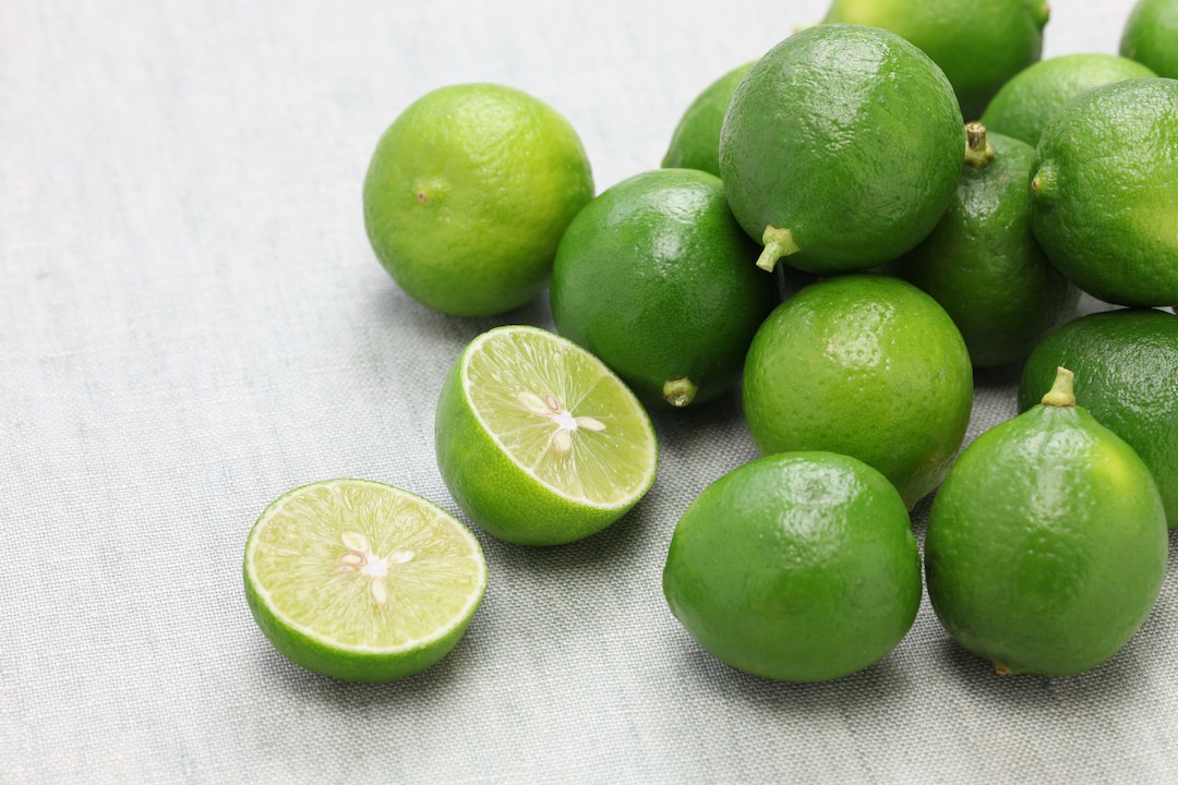 Key Limes Fresh Seeded ALKALINE the Actual Fruit key Lime Free Shipping