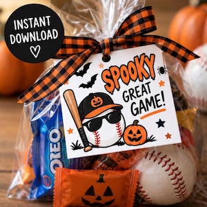 Può includere: Un sacchetto di plastica trasparente legato con un nastro a quadri arancione e nero, con un'etichetta quadrata che recita SPOOKY GREAT GAME! e raffigura una palla da baseball con occhiali da sole, una mazza, una zucca e dei pipistrelli.