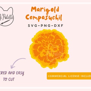 May include: A layered digital cut file of a marigold flower, also known as Cempasuchil, in shades of orange and yellow. The file is available in SVG, PNG, and DXF formats. The text "Layered and Easy to Cut" and "Commercial License Included" is also included in the image.