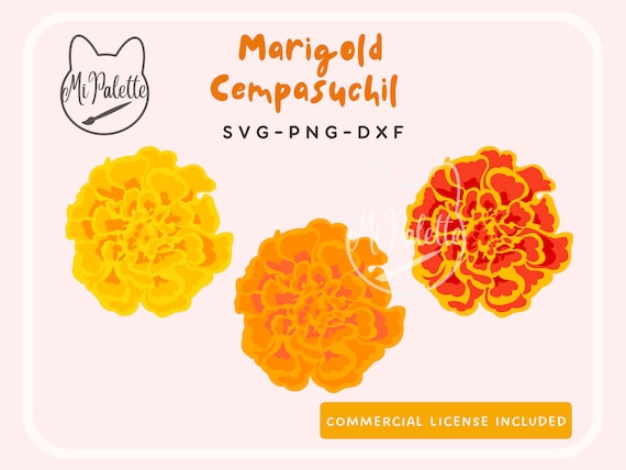 Dia De Los Muertos Flower Marigold Cempasuchil Digital 