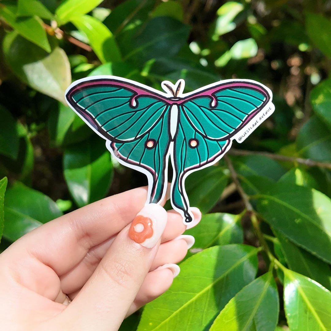 Luna Moth Sticker | Easy Peel | Water Resistant | Hippie | Cottage Core ...