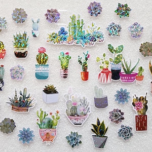 Pegatinas de plantas, suculentas y cactus, bonito juego de pegatinas brillantes para álbumes de recortes y planificadores, 40 unidades