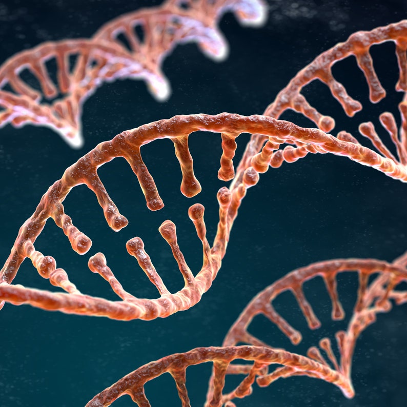 Ancestral DNA Healing Software - Etsy
