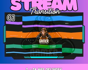 Glitch Stinger Transition | Custom Stream Overlay Animation (Digital Download)