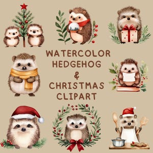 Hérisson aquarelle 104 & cliparts de Noël, hérisson mignon, carte de Noël aquarelle, albums de coupures, téléchargement numérique, usage commercial