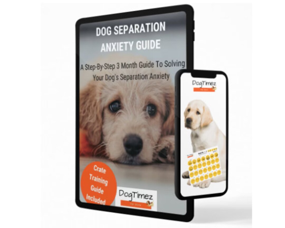 Dog separation anxiety crate sales