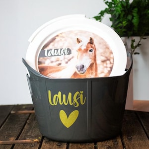 Peut inclure: Une poubelle de rangement en plastique gris avec un couvercle blanc. La poubelle a un cœur doré et le nom "Lusi" écrit dessus. Le couvercle a une image d'un cheval brun avec une étoile blanche sur le visage.