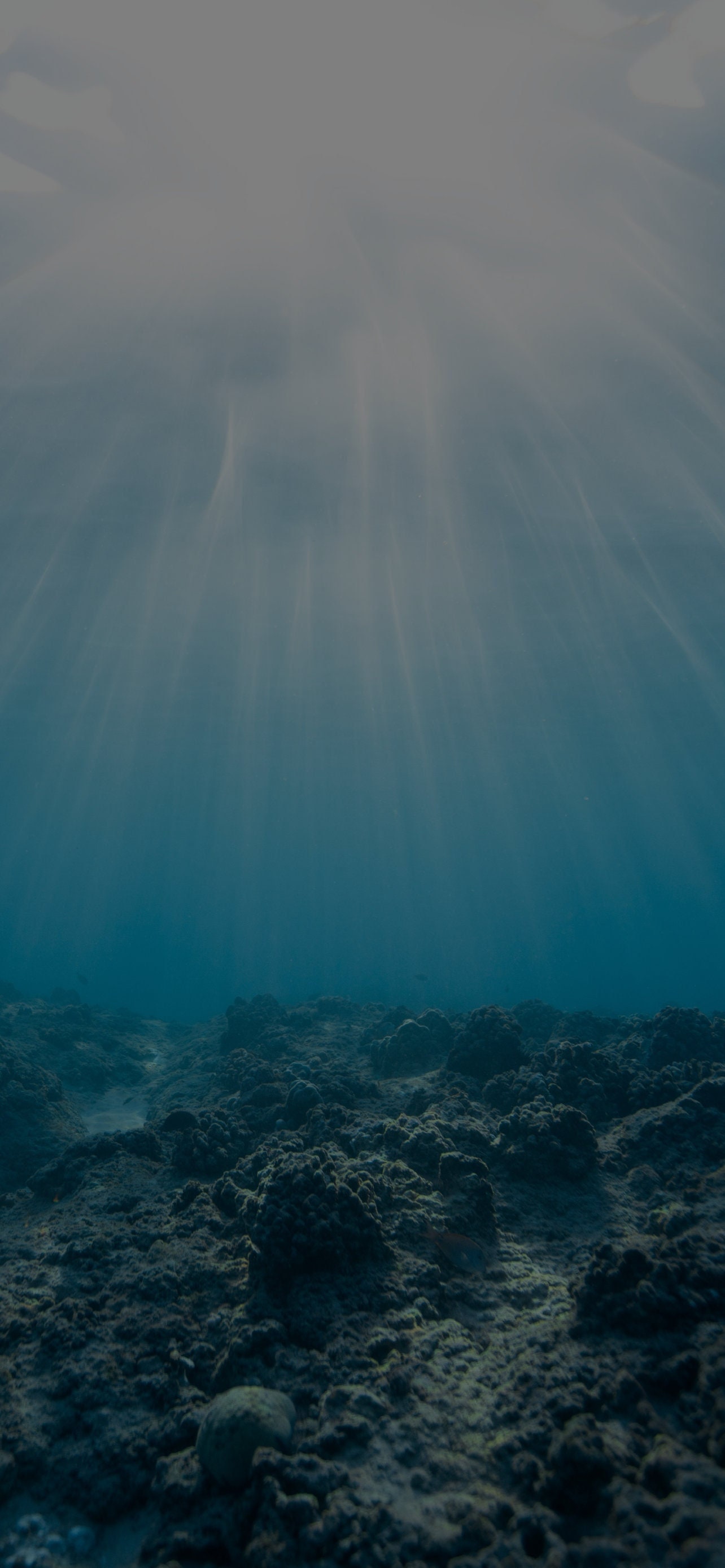 Ocean Floor iPhone Wallpaper / Abstract / Phone Lock Screen / - Etsy