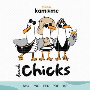 以下が含まれることがあります： サングラスとアクセサリーをつけた3羽の漫画の海鳥。その下に「ビーチ・チックス」という文字があります。