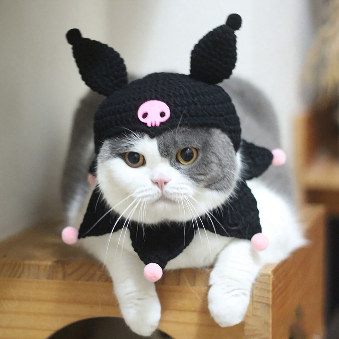 kitty🐈 on X: cat with kuromi hat  / X