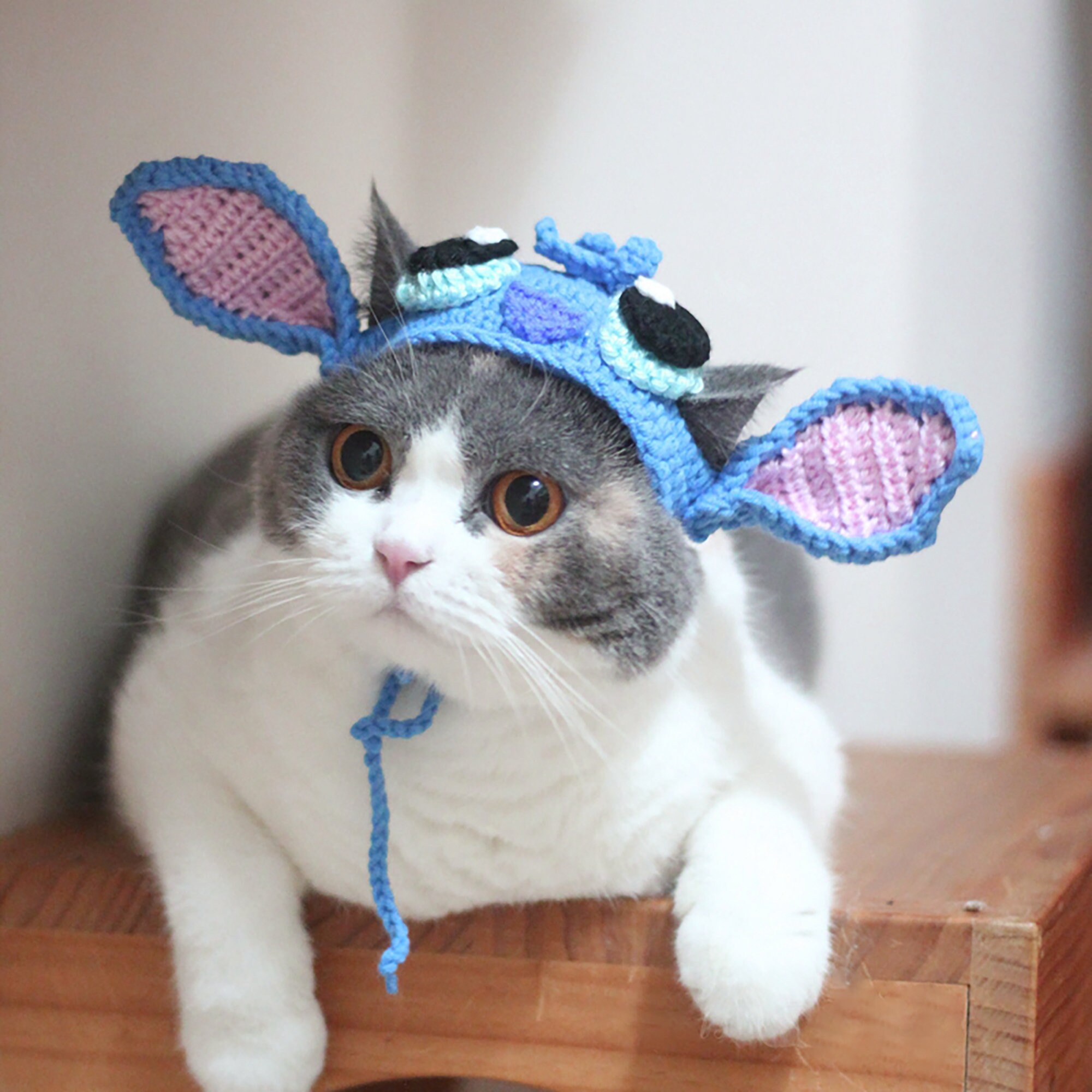 Couvre-chef pour chat,chapeau pour animal de compagnie,accessoire mignon et  amusant pour chien et chaton,oreilles de lapin - Type Headgear-L