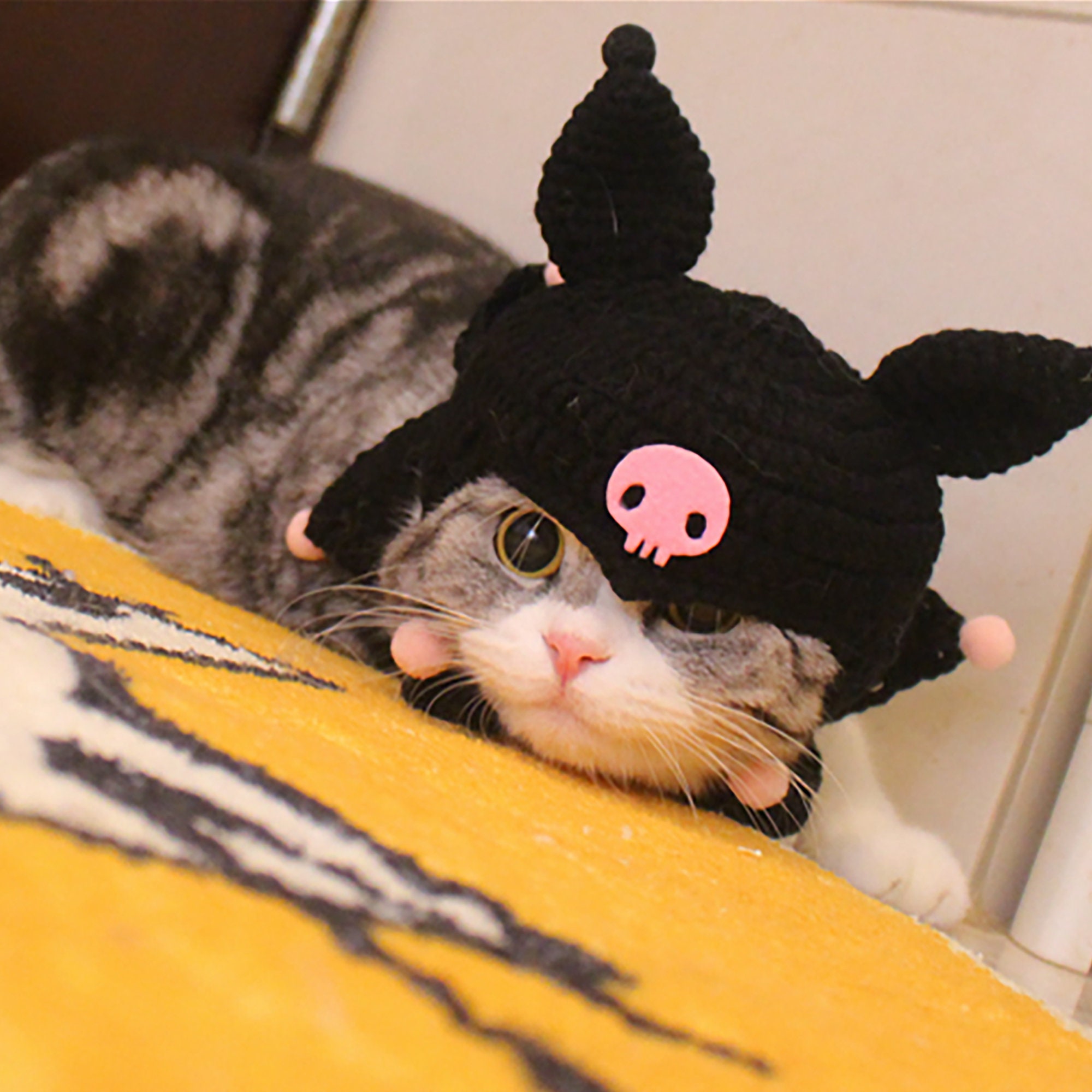 kitty🐈 on X: cat with kuromi hat  / X