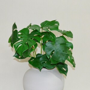 May include: A white ceramic vase with a large green leafy plant. The plant has large, tropical leaves with holes in them.