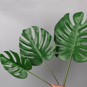 Puede incluir: Tres hojas de monstera artificiales de diferentes tamaños, de color verde y con una textura realista. Las hojas están dispuestas en forma de abanico, con la hoja más grande en la parte superior y la más pequeña en la parte inferior.