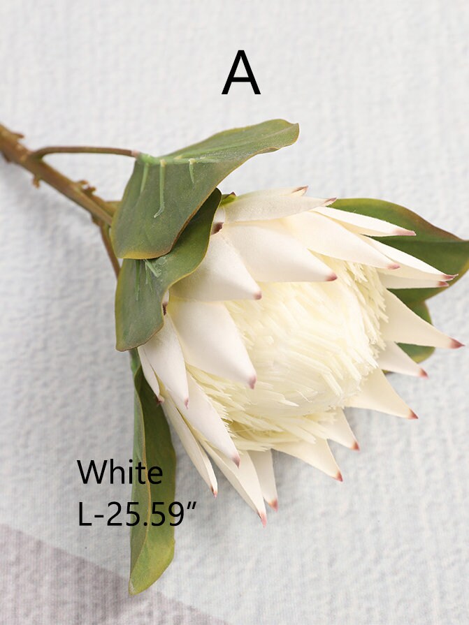 Artificial Protea Flower Stems With Leaves Tropical Flower Etsy