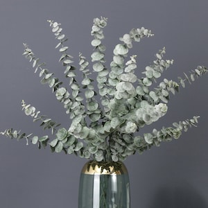 Fake Eucalyptus Leaves Branch, Twigs with Foliage, Artificial Flower Crafts, Home Floral Decor, Garland Bouquet Filler, Wedding Party Plant