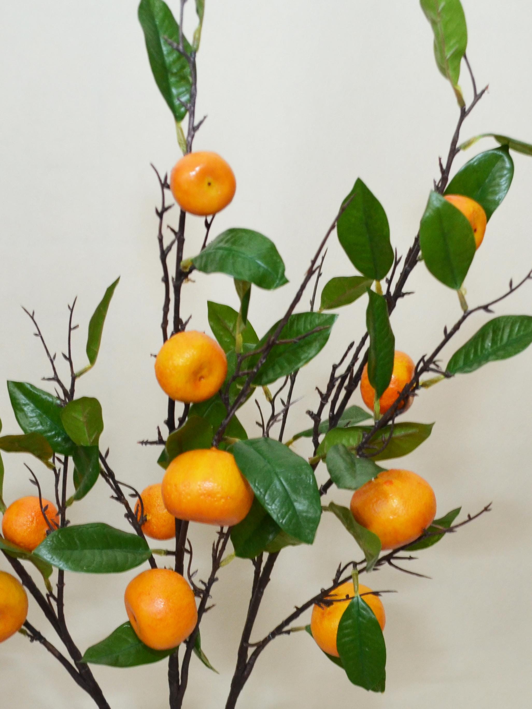 Realistic Citrus Stem, Artificial Orange Fruit Stem With Leaves, Autumn ...