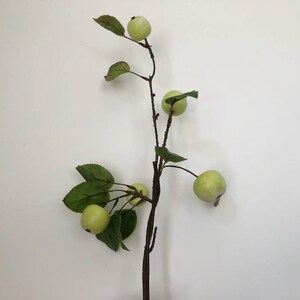 Branche de pomme verte avec feuillage, fruits rustiques réalistes, décoration florale de la maison, artisanat de pulvérisation de salon, pièce maîtresse d’arrangement de fête de mariage