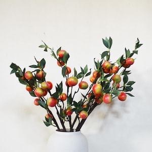 May include: A decorative branch arrangement featuring numerous small, round fruits with a gradient of yellow, orange, and red skin. The branches are adorned with pointed, dark green leaves and are displayed in a simple, matte white vase.