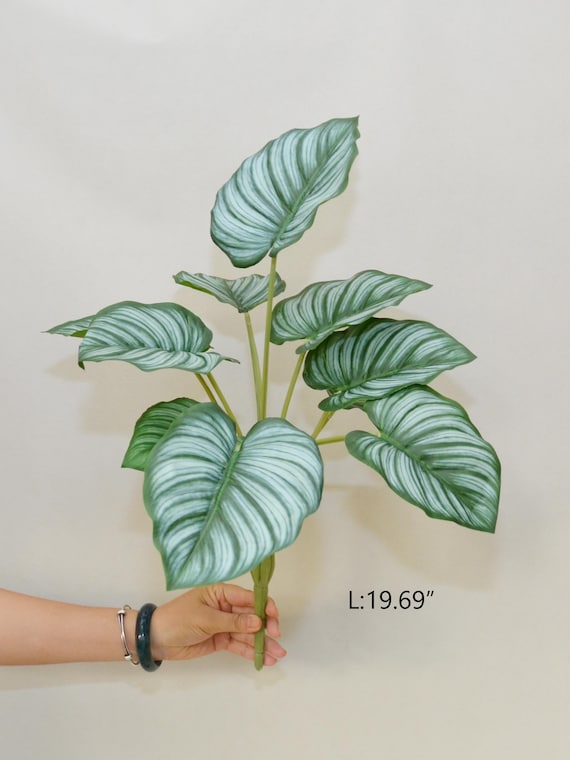 Faux Calathea Orbifolia Schildkrten Blatt mit Stiel, Tropische Pflanze  Handwerk, knstliche Blumen, Hochzeitsarrangements, Fensterschmuck - Etsy.de