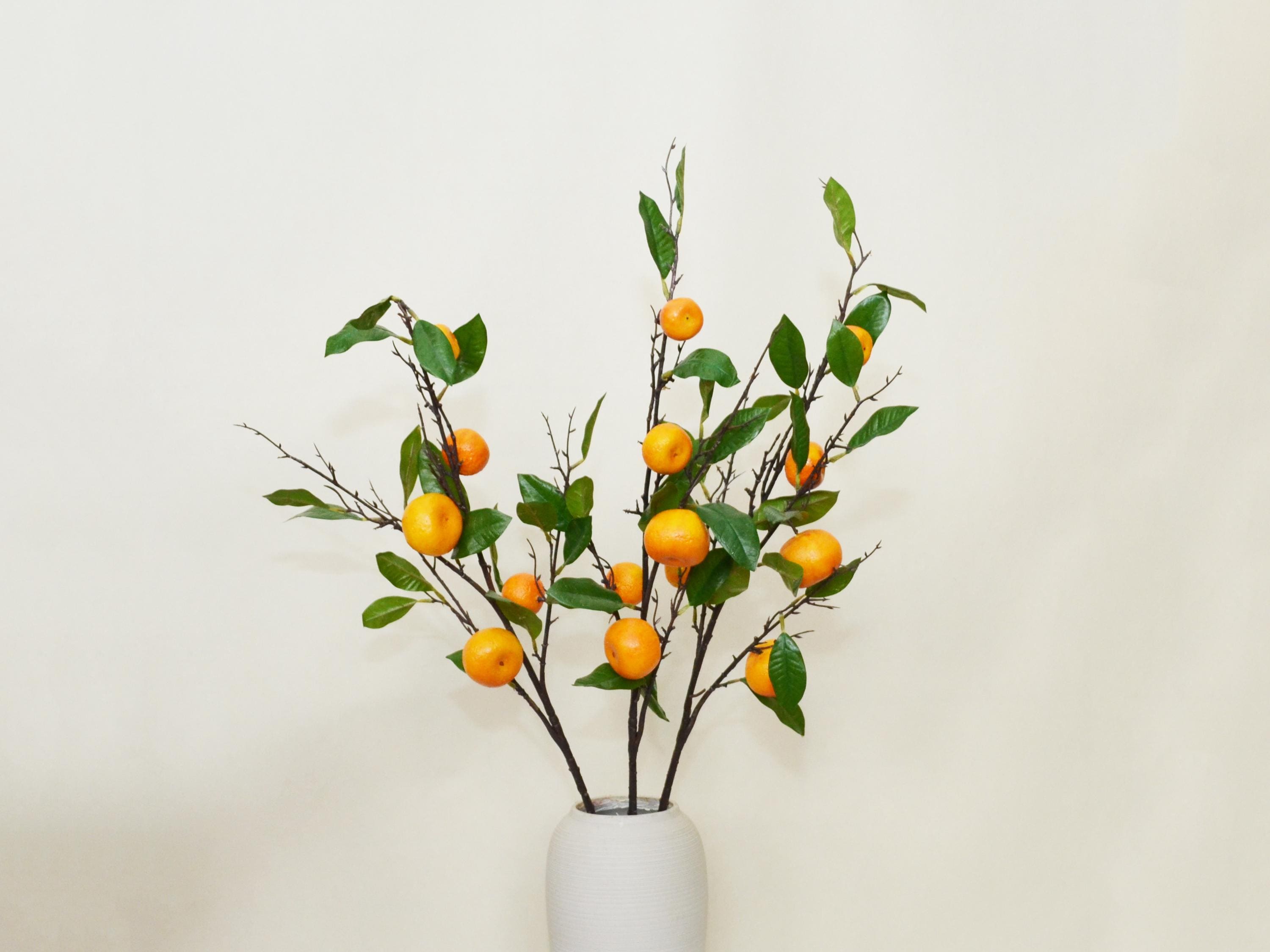 Realistic Citrus Stem, Artificial Orange Fruit Stem With Leaves, Autumn ...