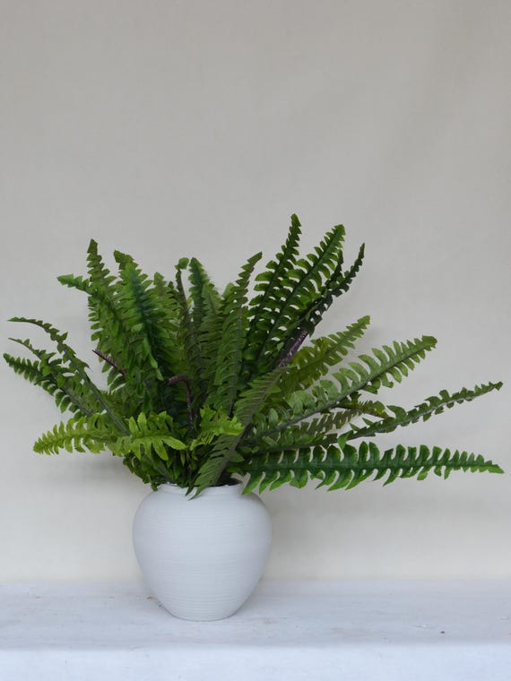 Geflschte Boston Farn-Pflanze, knstliche persische Bltter, Tropisches  Pflanzenhandwerk, Hochzeitsarrangement, Hngepflanze fr den Auenbereich,  Wohnkultur, knstliche Blume - Etsy.de