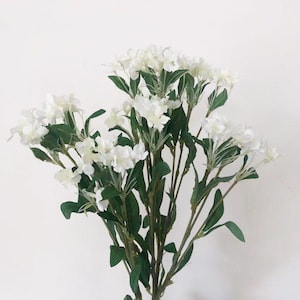 Artificial Dianthus Chinensis Stem with Foliage, Chinese Carnation Craft, Realistic Rustic Flower, Home Floral Decor, Wedding Arrangement