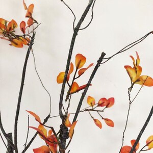 May include: A branch with thin, dark brown twigs and small, orange-red leaves. The leaves are clustered together and have a slightly textured appearance.