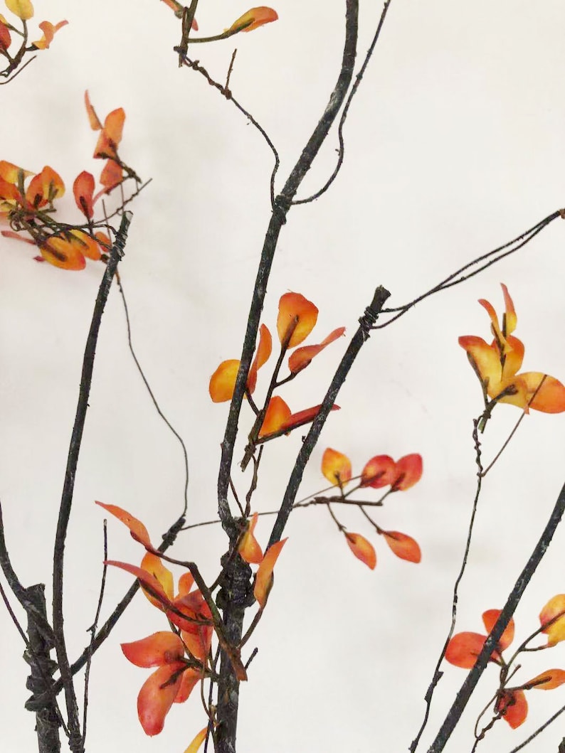 May include: A branch with thin, dark brown twigs and small, orange-red leaves. The leaves are clustered together and have a slightly textured appearance.
