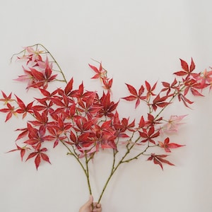 May include: A bouquet of red and pink maple leaves with green stems.