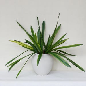 Artificial Cymbidium Leaves, Fake Orchid Leaf Stems with Roots, Fake Cymbidium Orchids, Wedding Party Flower Arrangements, Tropical Plants