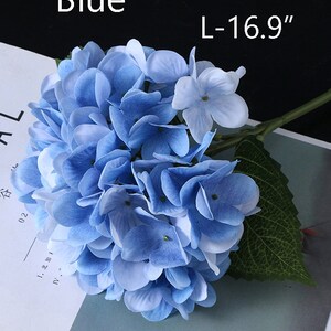 Puede incluir: Una flor de hortensia azul con tallo y hoja verde. La flor est&aacute; etiquetada como "Azul" y mide L-43 cm. Los p&eacute;talos de la flor son una mezcla de azul claro y oscuro.