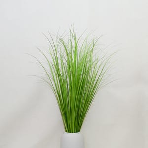 Puede incluir: Un arreglo decorativo de hierba ornamental verde brillante en un jarrón blanco. Las hojas largas y delgadas de la hierba crean una exhibición completa y texturizada. El jarrón tiene un diseño simple y moderno, que proporciona un contraste limpio con el follaje verde brillante.