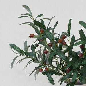 May include: A green olive branch with brown olives in a white ceramic vase. The branch has many leaves and is a realistic artificial plant.
