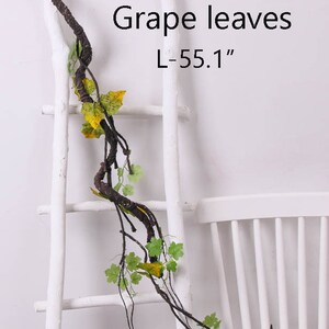 May include: A long, brown, vine-like stem with green and yellow leaves. The stem is wrapped around a white ladder. The text "Grape leaves L-55.1" is printed on a white background.