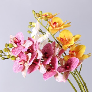 Faux Phalaenopsis Stem, Fake Orchid Spray, Artificial Flower Craft, Real Touch Bloom for Window, Wedding Bouquet Filler, Home Floral Decor