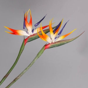 Fake Bird of Paradise Stem, Strelitzia Reginae Bloom, Artificial Flower Craft, Tropical Floral Decor, Wedding Party Bouquet Garland Filler