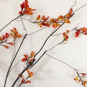 May include: A branch with thin, dark brown twigs and small, orange-red leaves. The leaves are clustered together in groups of two to four.