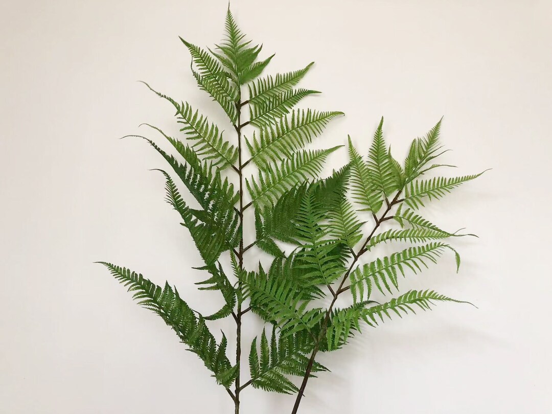 Artificial Fern Leaves With Long Stem, Fake Tropical Plant Crafts, Home