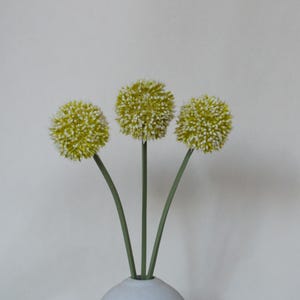 Peut inclure: Trois fleurs d'ail artificielles avec des tiges vertes et des têtes de fleurs sphériques, jaunes et blanches. Les fleurs sont disposées dans un petit vase blanc sur un fond uni blanc cassé. Les tiges sont courbées.