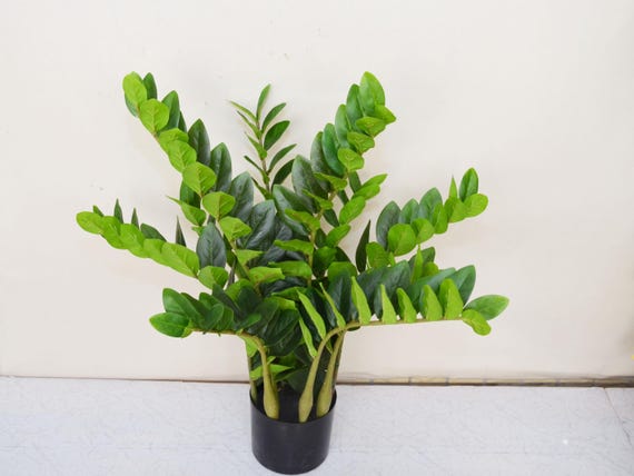Artificial Zamioculcas Zamiifolia Potted Plant, Faux ZZ Plant, Fake ZZ Plant  Leaves, Indoor Potted Plant, Home Decor, Faux Tropical Plant - Etsy