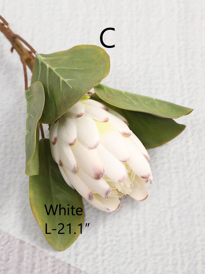Artificial Protea Flower Stems With Leaves Tropical Flower Etsy