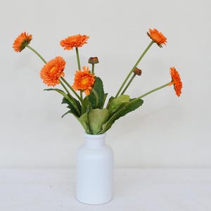Puede incluir: Un ramo de flores naranja parecidas a margaritas en un jarrón de cerámica blanca. El jarrón está sobre una superficie blanca.