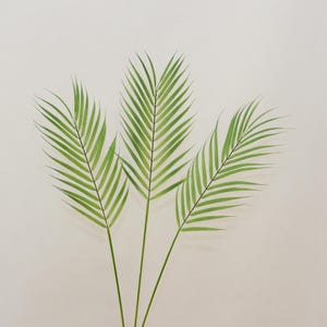 Areca Palm Foliage, Faux Palm Leaves, Artificial Flower Craft, Tropical Plant Decor, for Bouquet Garland, Wedding Party Greenery Arrangement