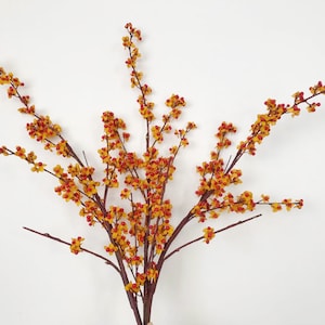 Ramo lungo di frutta agrodolce di qualità, artigianato di bacche autunnali artificiali, decorazioni floreali per la casa, composizioni nuziali, riempitivo per vasi da pavimento, fiore zen