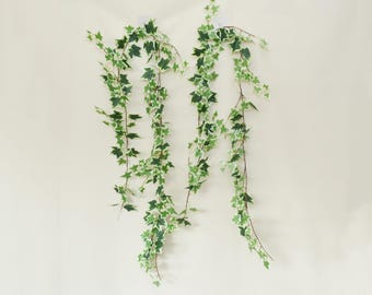 May include: Two artificial ivy vines with green and white variegated leaves hang against a cream-colored wall. The vines are attached to the wall with small white adhesive squares, creating a decorative display.