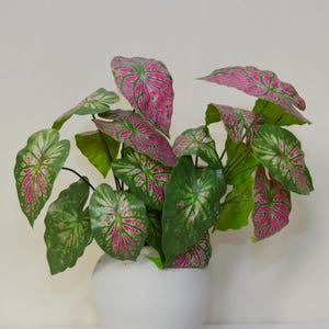 Fake Caladium Bicolor  with Root, Artificial Flower, Tropical Plant Crafts, Wedding Arrangements, Bouquets Wreaths Grass Fillers, Home Decor