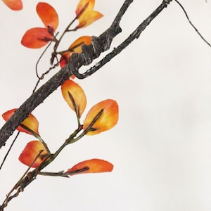 May include: A close-up of a branch with orange and yellow leaves. The branch is twisted and gnarled, and the leaves are delicate and fragile. The background is a white wall.